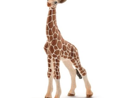 Figura de Brincar Cria de Girafa - Schleich For Discount