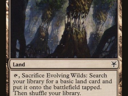 Evolving Wilds [Duel Decks: Sorin vs. Tibalt] Online Hot Sale