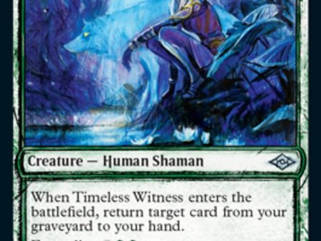 Timeless Witness (Sketch) [Modern Horizons 2] Online Hot Sale