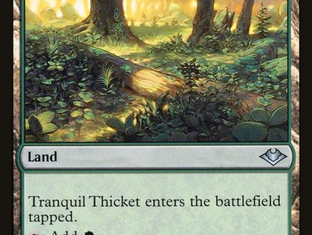 Tranquil Thicket [Modern Horizons] For Sale