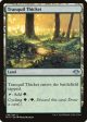 Tranquil Thicket [Modern Horizons] For Sale